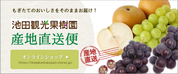 もぎたて果実はいかがですか