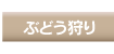 ぶどう狩り