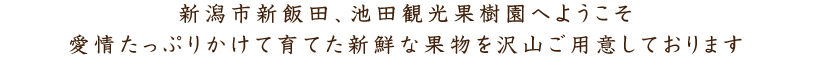 新潟市新飯田、池田観光果樹園へようこそ　愛情たっぷりかけて育てた新鮮な果物を沢山ご用意しております